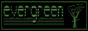 Evergreen